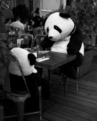 59D26D28-62B1-4ED0-B675-6BAEEAB2EF57